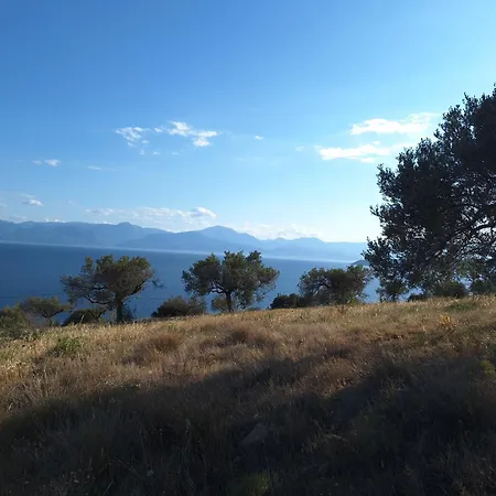 Villa Physis Fokida Eratini